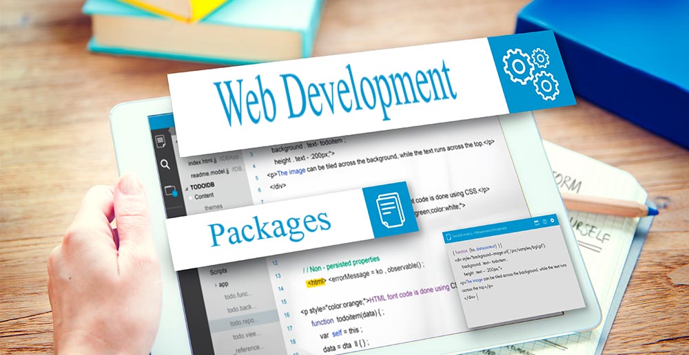 "Web Development Packages by BrainCandy Digital Marketing"